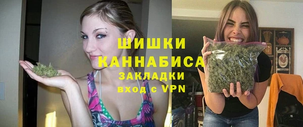 сатива Армянск