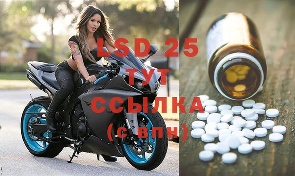 сатива Армянск