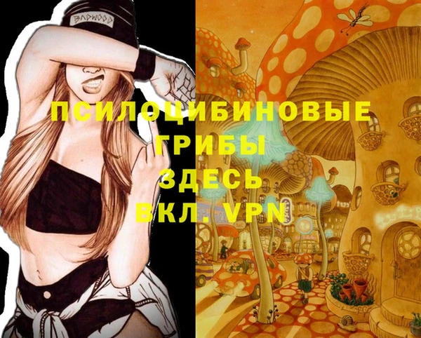 альфа пвп Арсеньев