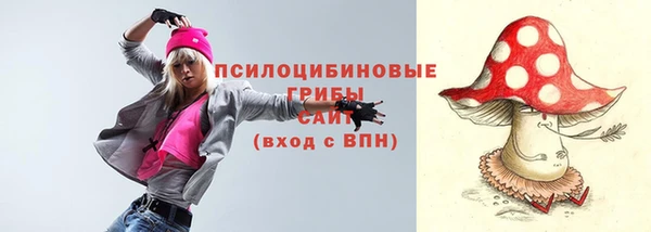 сатива Армянск