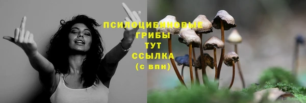 трава Аркадак